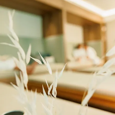 Wellnesshotel Sanct Bernhard Hotel